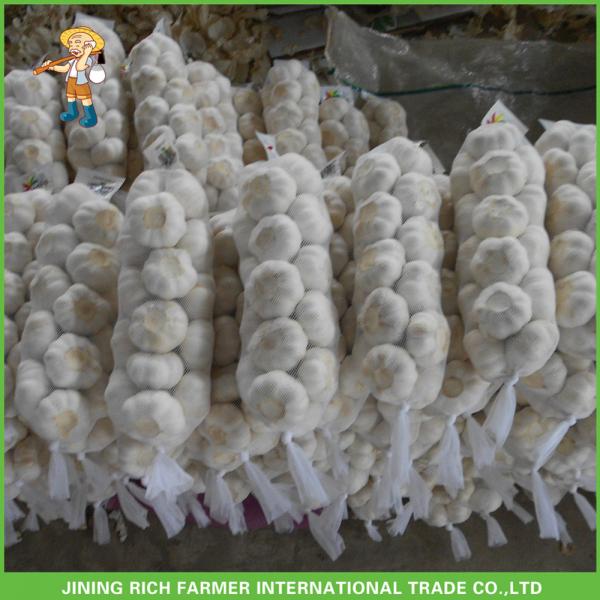2017 Jinxiang Laiwu Pizhou Fresh White Garlic 5.0CM Mesh Bag In Carton Good Price #2 image