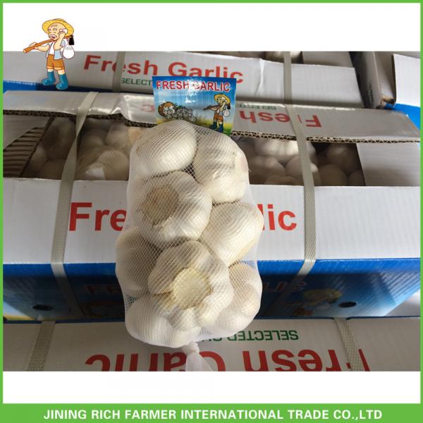 2017 Jinxiang Laiwu Pizhou Fresh White Garlic 5.0CM Mesh Bag In Carton Good Price #3 image
