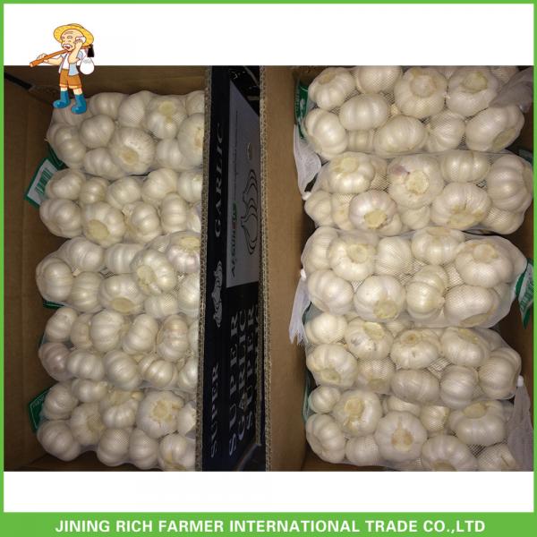 2017 Jinxiang Laiwu Pizhou Fresh White Garlic 5.0CM Mesh Bag In Carton Good Price #4 image