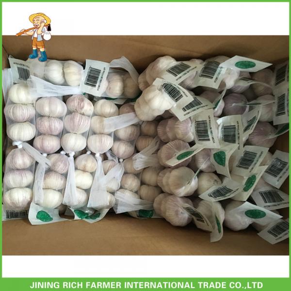 2017 Cheap Price High Quality New Fresh Normal White Garlic 5.0cm In 10KG Carton For Bangladesh #4 image