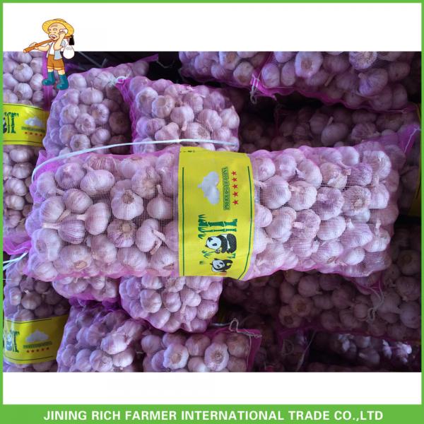 2017 Cheap Price High Quality New Fresh Normal White Garlic 5.0cm In 10KG Carton For Bangladesh #5 image