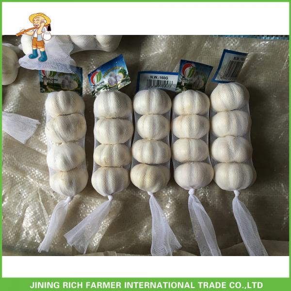 2017 Hot Sale Fresh Pure White Garlic 5.0cm /4p In 10 kg Mesh Bag For Sultan #1 image
