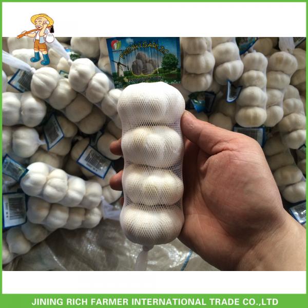 2017 Hot Sale Fresh Pure White Garlic 5.0cm /4p In 10 kg Mesh Bag For Sultan #3 image