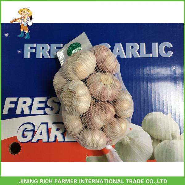 2017New Crop Fresh Normal White Garlic 5.0 cm In 20 kg Mesh Bag For Ecuador #5 image