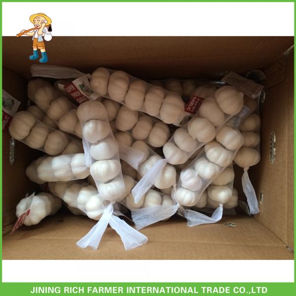 Fresh Normal White Garlic In10kg Carton 5.5 CM For Brazil High Quality Cheapest Price #1 image