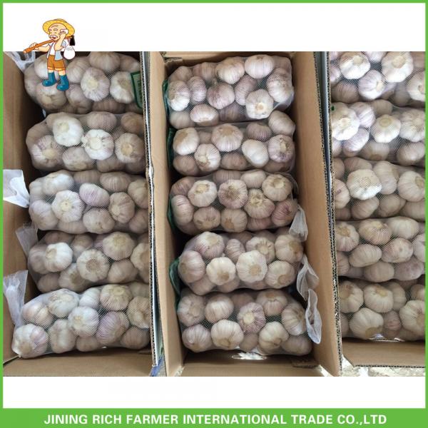 Fresh Normal White Garlic In10kg Carton 5.5 CM For Brazil High Quality Cheapest Price #4 image
