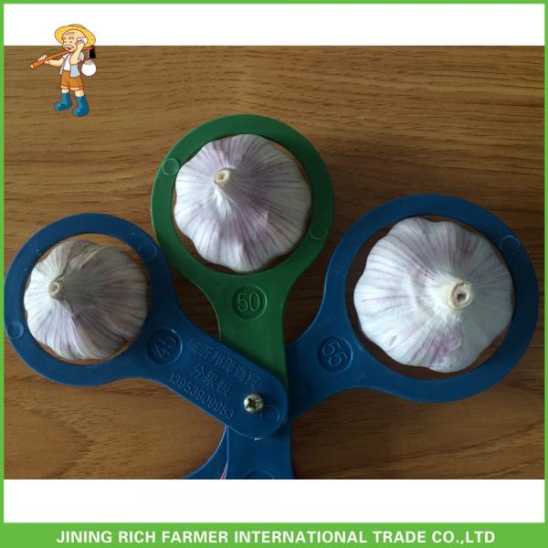 2017 New Top Quality Fresh Purple Garlic Mesh Bag In Carton For Exporter #1 image