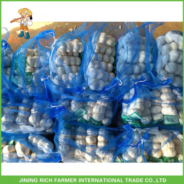 New Crop Fresh Pure White Garlic 5.0 cm In 8kg Mesh Bag For Kuwait Cheapest Price #2 image