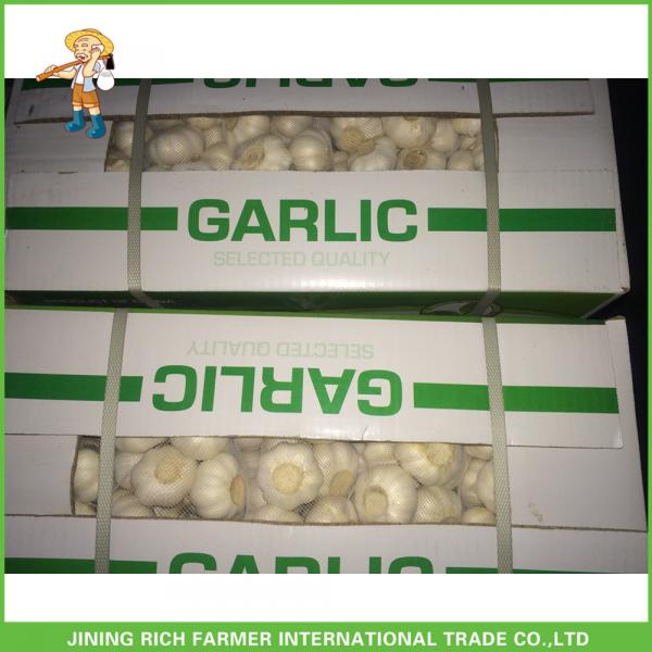 Cheapest Price High Quality Fresh Pure White Garlic 5.0CM In 8 kg Mesh Bag For Dubai #2 image