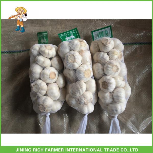 Cheapest Price High Quality Fresh Pure White Garlic 5.0CM In 8 kg Mesh Bag For Dubai #3 image