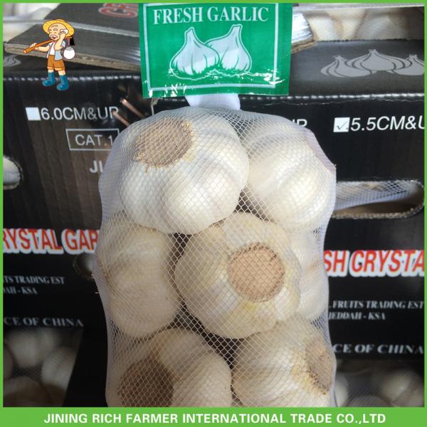 Cheapest Price High Quality Fresh Pure White Garlic 5.0CM In 8 kg Mesh Bag For Dubai #4 image