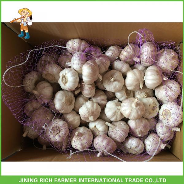 Fresh Normal White Garlic 5.0cm In 10kg Carton For Columbia Cheapest Price High Quality #3 image