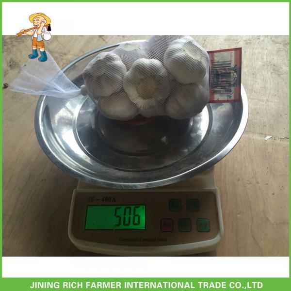 Hot Sale Jinxiang Fresh Red Garlic High Quality Cheapest Price 5.0CM #1 image