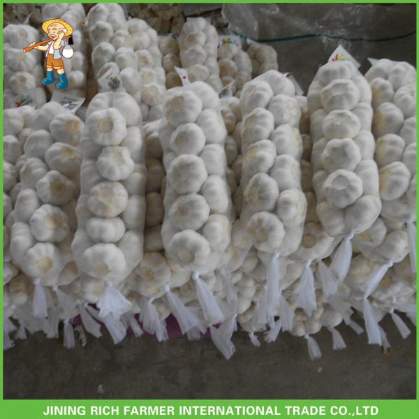 2017 Hot Sale Fresh White Garlic Mesh Bag In Carton Good Price High Quality #2 image