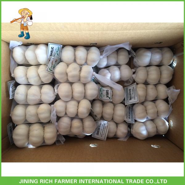 2017 Hot Sale Fresh White Garlic Mesh Bag In Carton Good Price High Quality #3 image