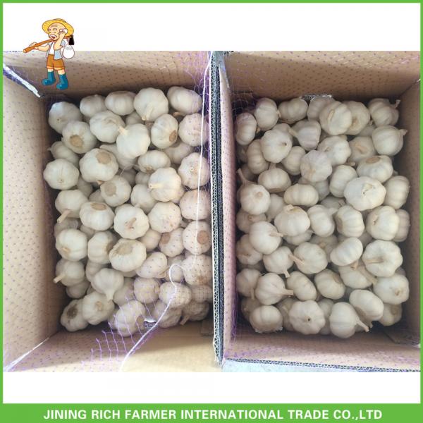 2017 New Fresh Pure White Garlic For Belize In 10kg Carton Good Price High Quality #5 image