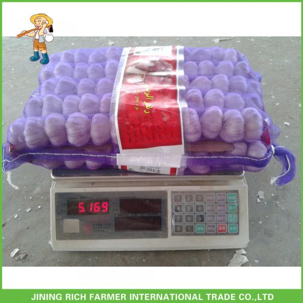 Cheapest Price High Quality Fresh Red White Garlic Mesh Bag In 10KG Carton #1 image