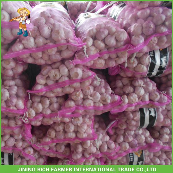 Cheapest Price High Quality Fresh Red White Garlic Mesh Bag In 10KG Carton #2 image