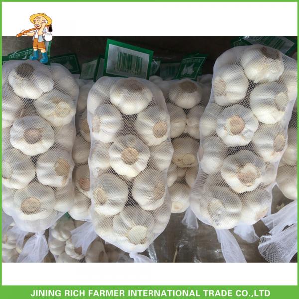 Cheapest Price High Quality Fresh Red White Garlic Mesh Bag In 10KG Carton #3 image