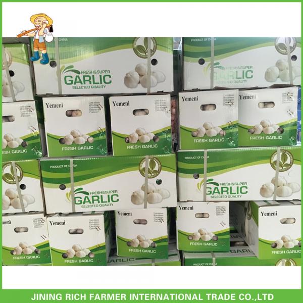 New Crop Fresh Normal White Garlic 5.0 cm ,5p In 10KG Carton For Exporter #2 image