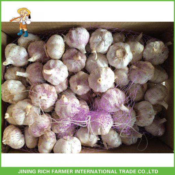 New Crop Fresh Normal White Garlic 5.0 cm ,5p In 10KG Carton For Exporter #3 image