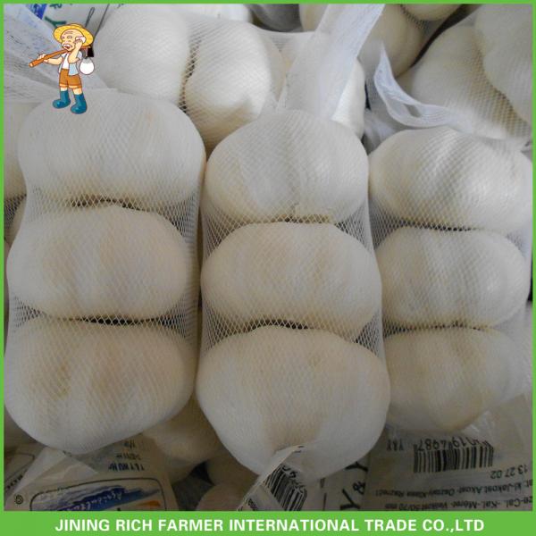 2017 New Crop Fresh Snow White Garlic Mesh Bag In Carton For Sale #2 image