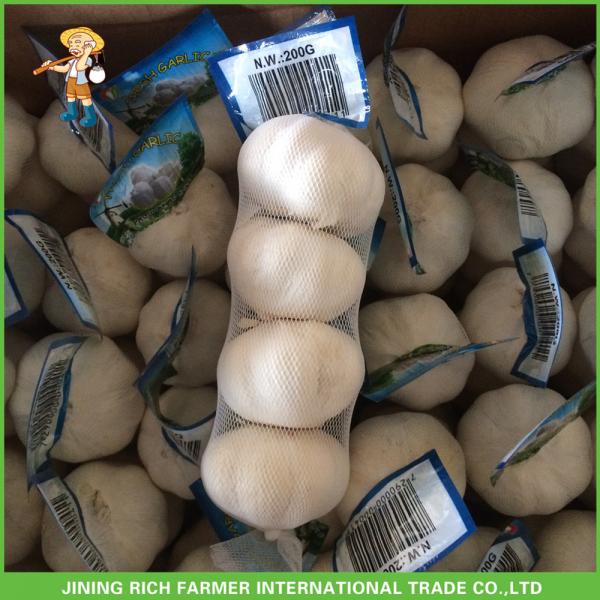 2017 New Crop Fresh Snow White Garlic Mesh Bag In Carton For Sale #3 image