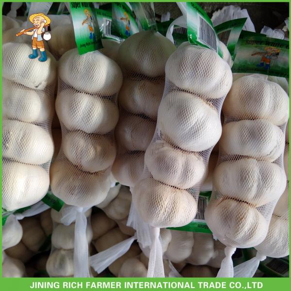 2017 New Crop Fresh Pure White Garlic Mesh Bag In Carton Good Price High Quality #2 image