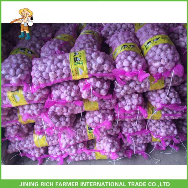 2017 New Crop Fresh Pure White Garlic Mesh Bag In Carton Good Price High Quality #5 image
