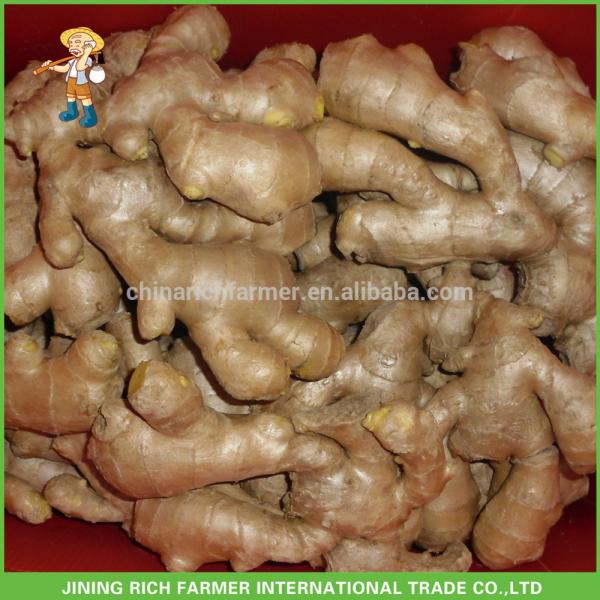 Air Dried Ginger 250g up To Genova Port Supplier #1 image