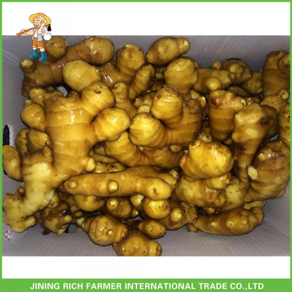 150g+ Fresh Ginger With Low Price #1 image