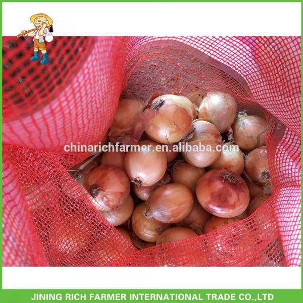 High Quality &amp; Best Price Chinese Fresh Onion 5-7cm Size #1 image