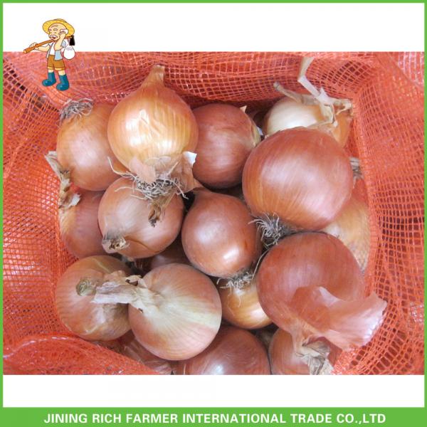 High Quality Fresh Onion of 5-7cm Size Supplier and Exporter #1 image