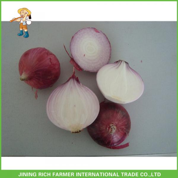High Quality &amp; Best Price Chinese Fresh Onion 5-7cm Size #1 image