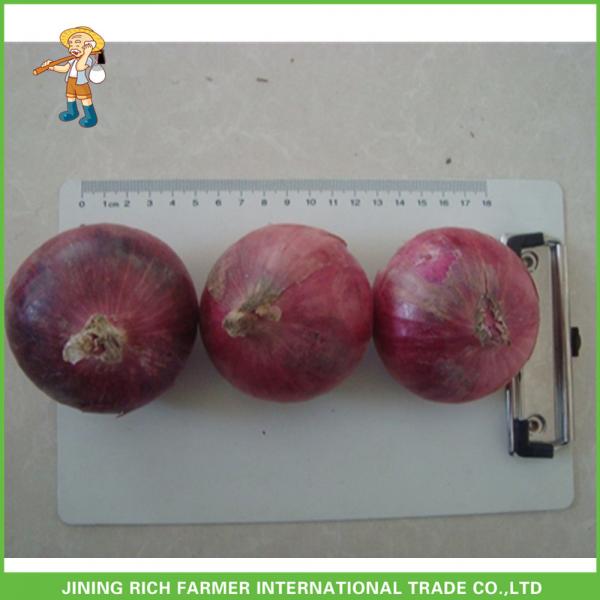 High Quality &amp; Best Price Chinese Fresh Onion 5-7cm Size #2 image