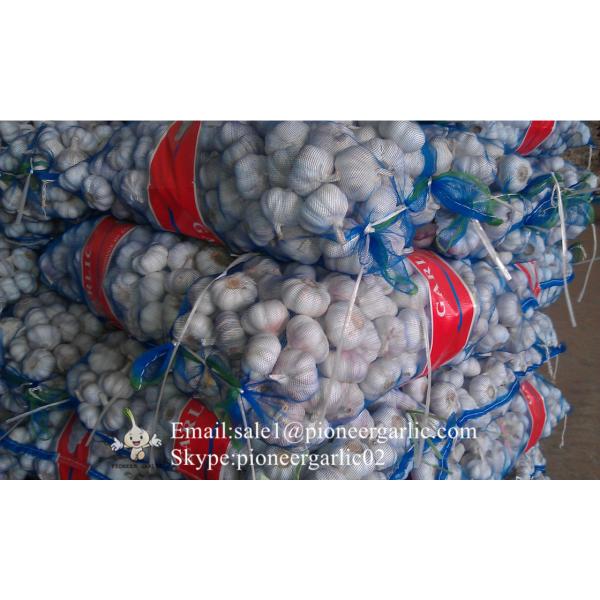 Chinese Fresh Normal White Garlic Packed In Mesh Bag #2 image