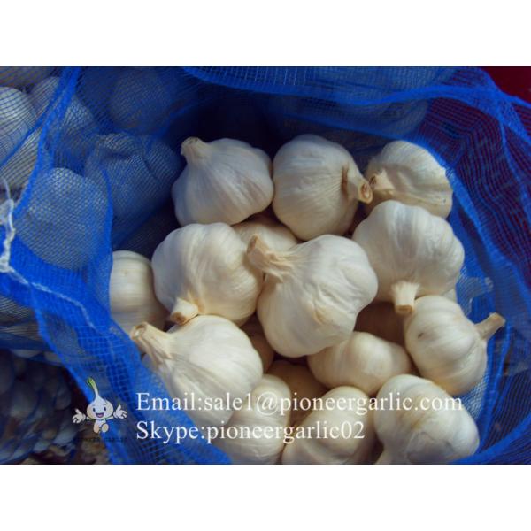 2017 New Crop 4.5cm Normal White Fresh Garlic 10kg Mesh Bag Packing #4 image