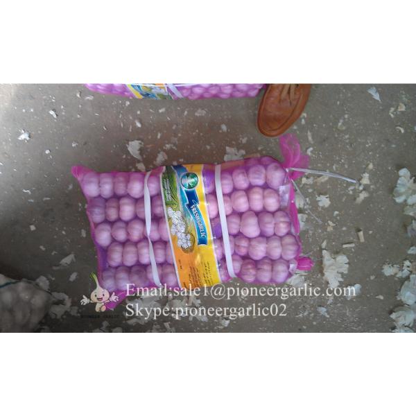 2017 New Crop 5cm Purple Fresh Garlic 10kg Mesh Bag Packing #5 image