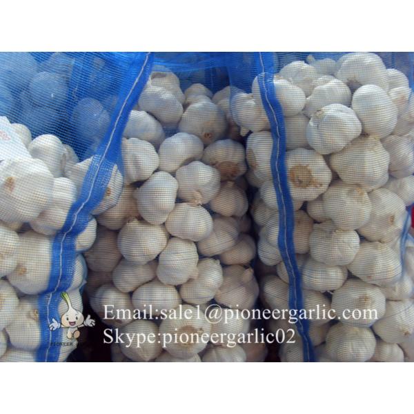 2017 New Crop 5cm Normal White Fresh Garlic 10kg Mesh Bag Packing #5 image