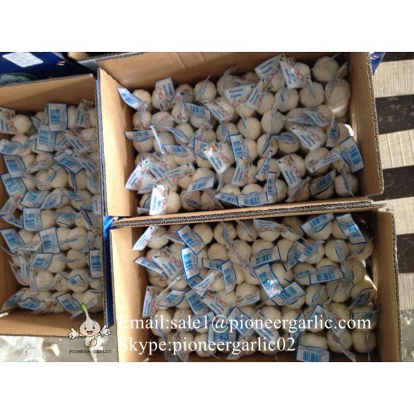 Chinese Fresh Jinxiang Snow White 4.5cm Garlic Small Packing In 10kg Box #1 image