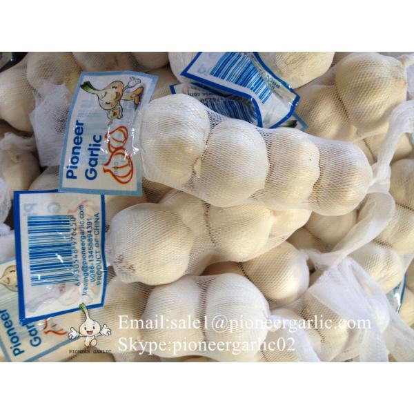 New Crop Chinese 5.5cm Pure White Fresh Garlic Small Packing In Mesh Bag #3 image