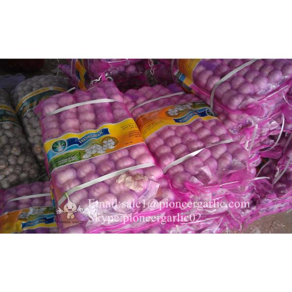 100% Natural Garlic Fresh Jinxiang Garlic Normal White Purple Garlic Exported to African Market #1 image