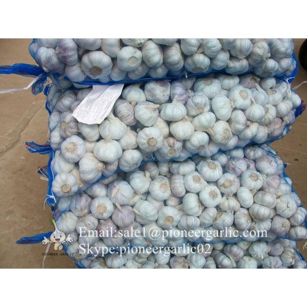 2017 New Crop 5cm Purple Fresh Garlic 10kg Mesh Bag Packing #1 image