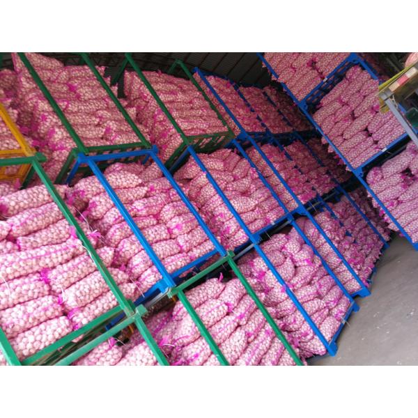 Jinxiang Shandong Fresh Normal White Garlic 5cm Loose Packing in Mesh Bag #2 image