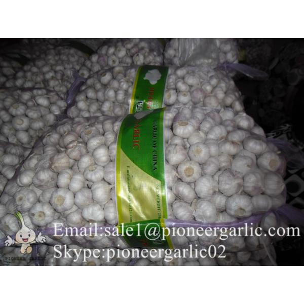 4.5-5cm Normal White Chinese Fresh Garlic In Mesh Bag Packing #2 image