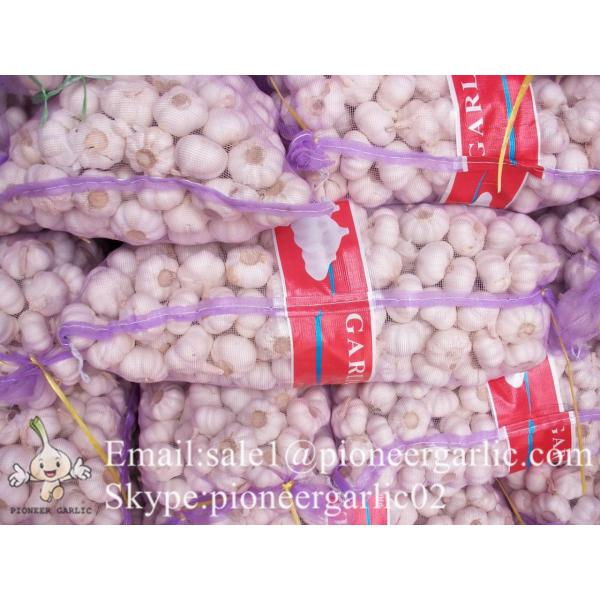 Jinxiang Fresh 5.0-5.5cm Chinese Red Garlic Packed in Mesh Bag for Garlic Wholesale Buyers Around the World #1 image