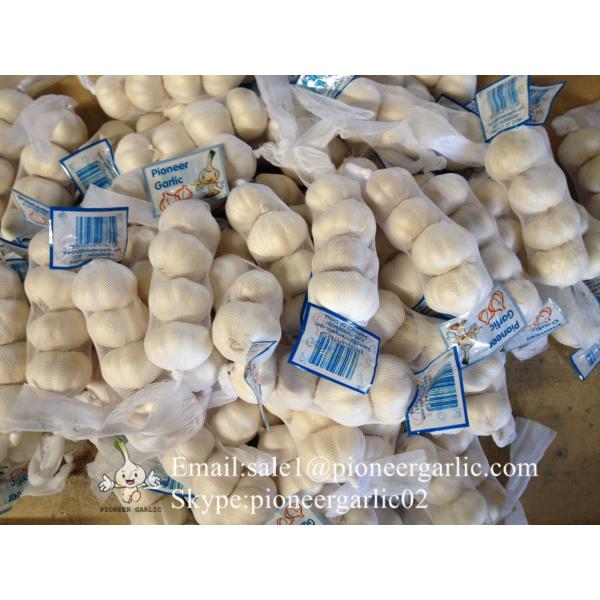 Jinxiang Fresh 5.0-5.5cm Chinese Red Garlic Packed in Mesh Bag for Garlic Wholesale Buyers Around the World #2 image