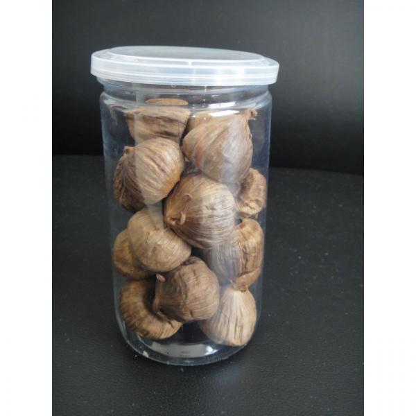 Black Garlic Benefit for Health Tasty Safety with Good Price #1 image