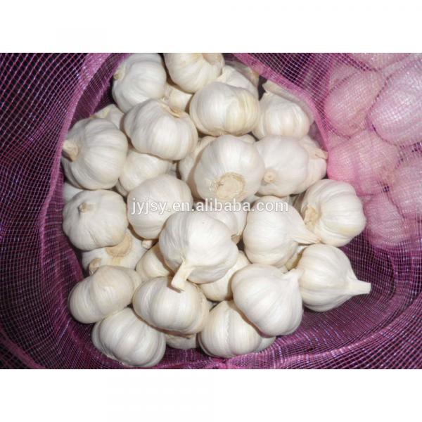 2017 china garlic. #1 image