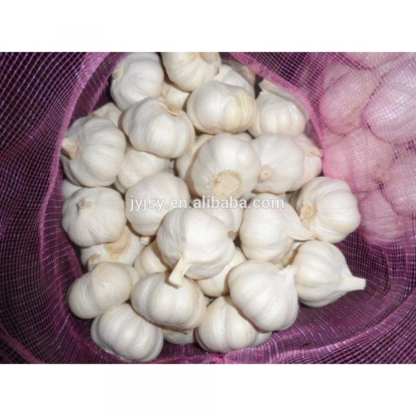 2017 chinese garlic good quality #3 image